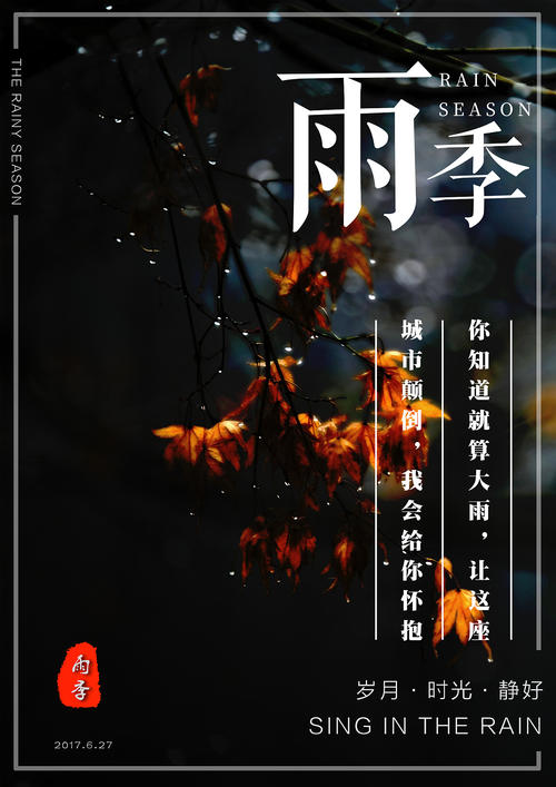 仿制怀俄明州驾照